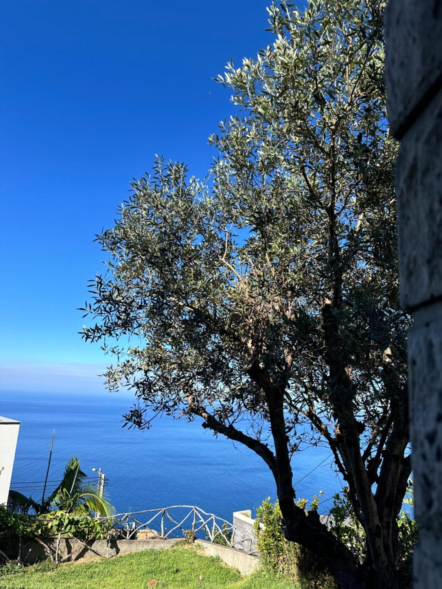 Villa Cozy Sea View House Faja Da Ovelha Calheta  Esterno foto